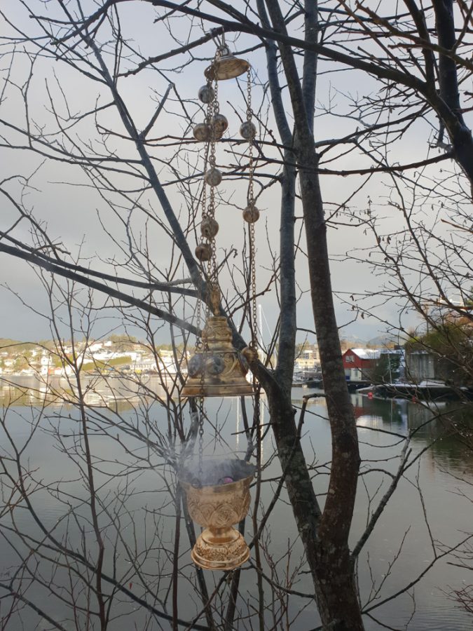 50520767_2253011358267479_2729915508651458560_n